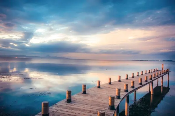 藤县美食摆摊在哪里