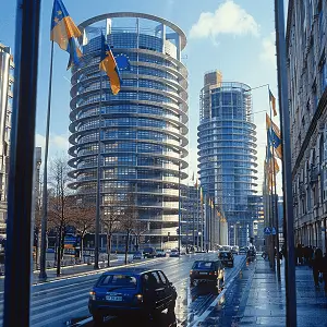 焦作代购美食在哪里